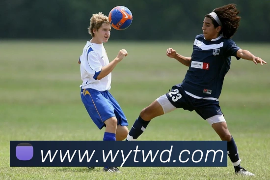 问鼎娱乐发展历程